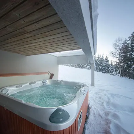 펜션 Familial Spacieux Avec Spa, Salle De Jeux, Pres Des Pistes - 14 Pers, Vosges - Fr-1-589-366