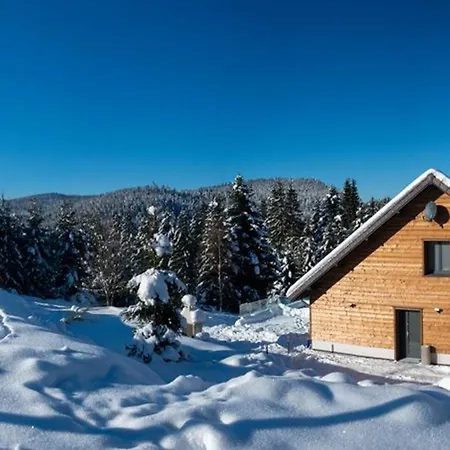 Vakantiehuis Familial Spacieux Avec Spa, Salle De Jeux, Pres Des Pistes - 14 Pers, Vosges - Fr-1-589-366 *