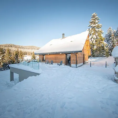 Holiday home Familial Spacieux Avec Spa, Salle De Jeux, Pres Des Pistes - 14 Pers, Vosges - Fr-1-589-366