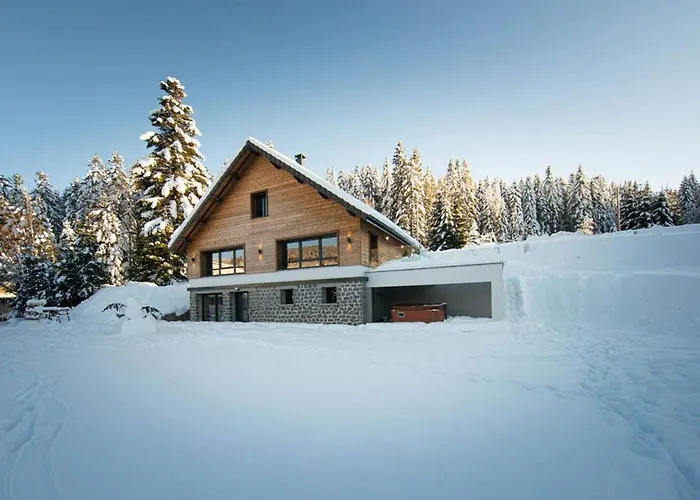 Prázdninový dům Familial Spacieux Avec Spa, Salle De Jeux, Pres Des Pistes - 14 Pers, Vosges - Fr-1-589-366 Ban-sur-Meurthe-Clefcy