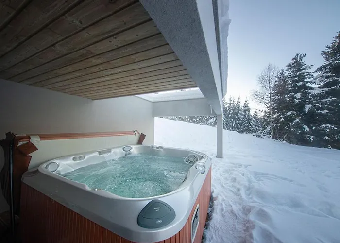 Prázdninový dům Familial Spacieux Avec Spa, Salle De Jeux, Pres Des Pistes - 14 Pers, Vosges - Fr-1-589-366