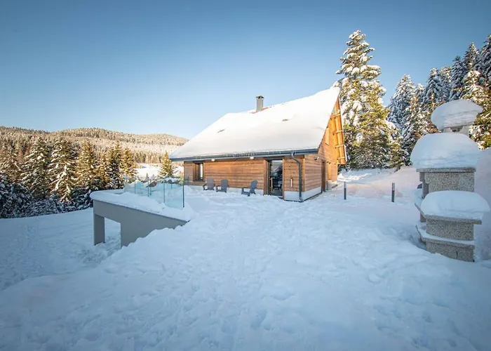 Familial Spacieux Avec Spa, Salle De Jeux, Pres Des Pistes - 14 Pers, Vosges - Fr-1-589-366 *