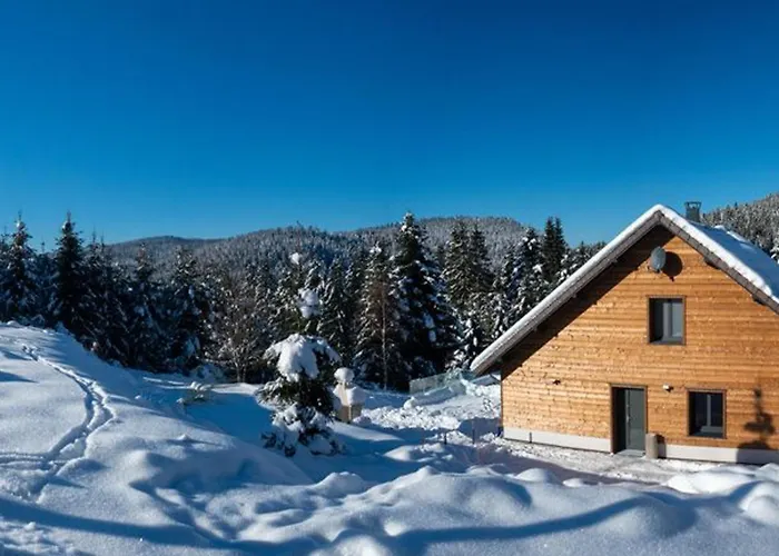 Prázdninový dům Familial Spacieux Avec Spa, Salle De Jeux, Pres Des Pistes - 14 Pers, Vosges - Fr-1-589-366 *